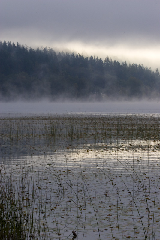 Morning Mist On Lake Sammamish